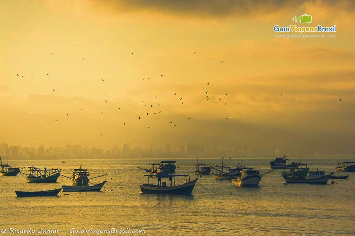 Imagem de barcos no mar em um fim de tarde na Praia Central Porto Belo.