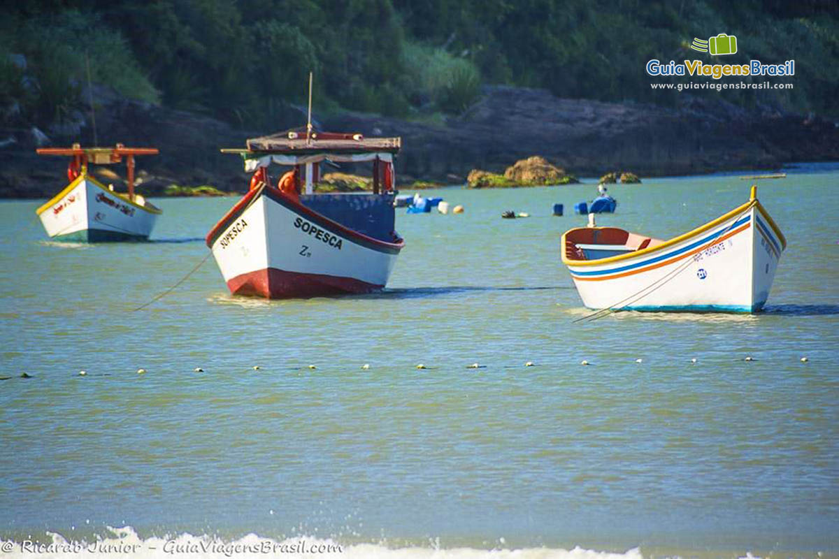 Imagem aproximada dos barcos que estão no mar.