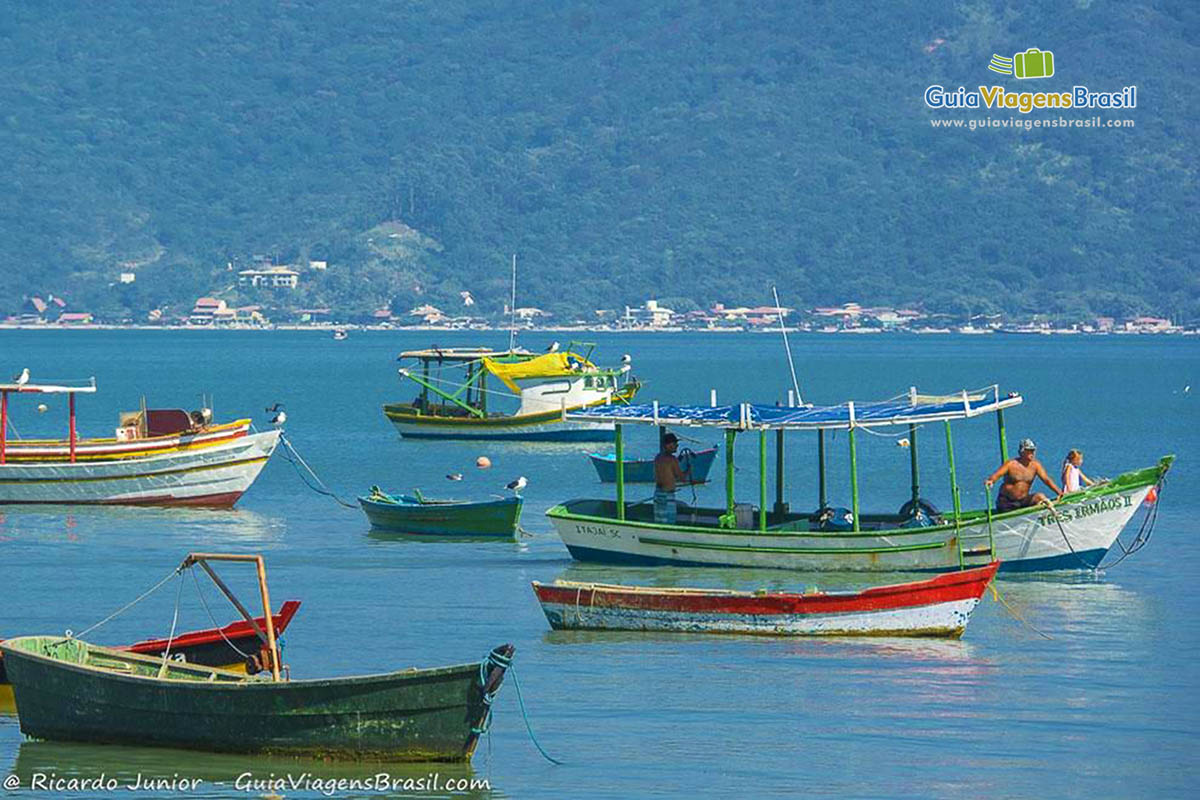 Imagem de vários barcos de pescador nas águas da Praia Canto Grande em Bombinhas.