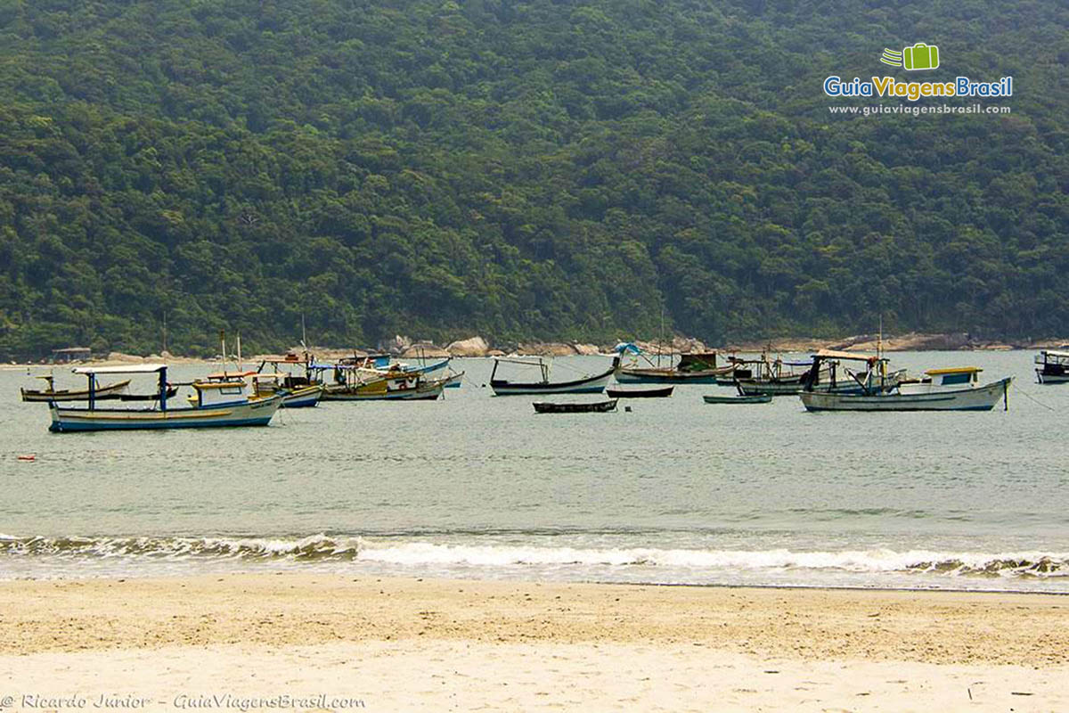 Imagem de vários barcos de pescadores na Praia do Perequê.