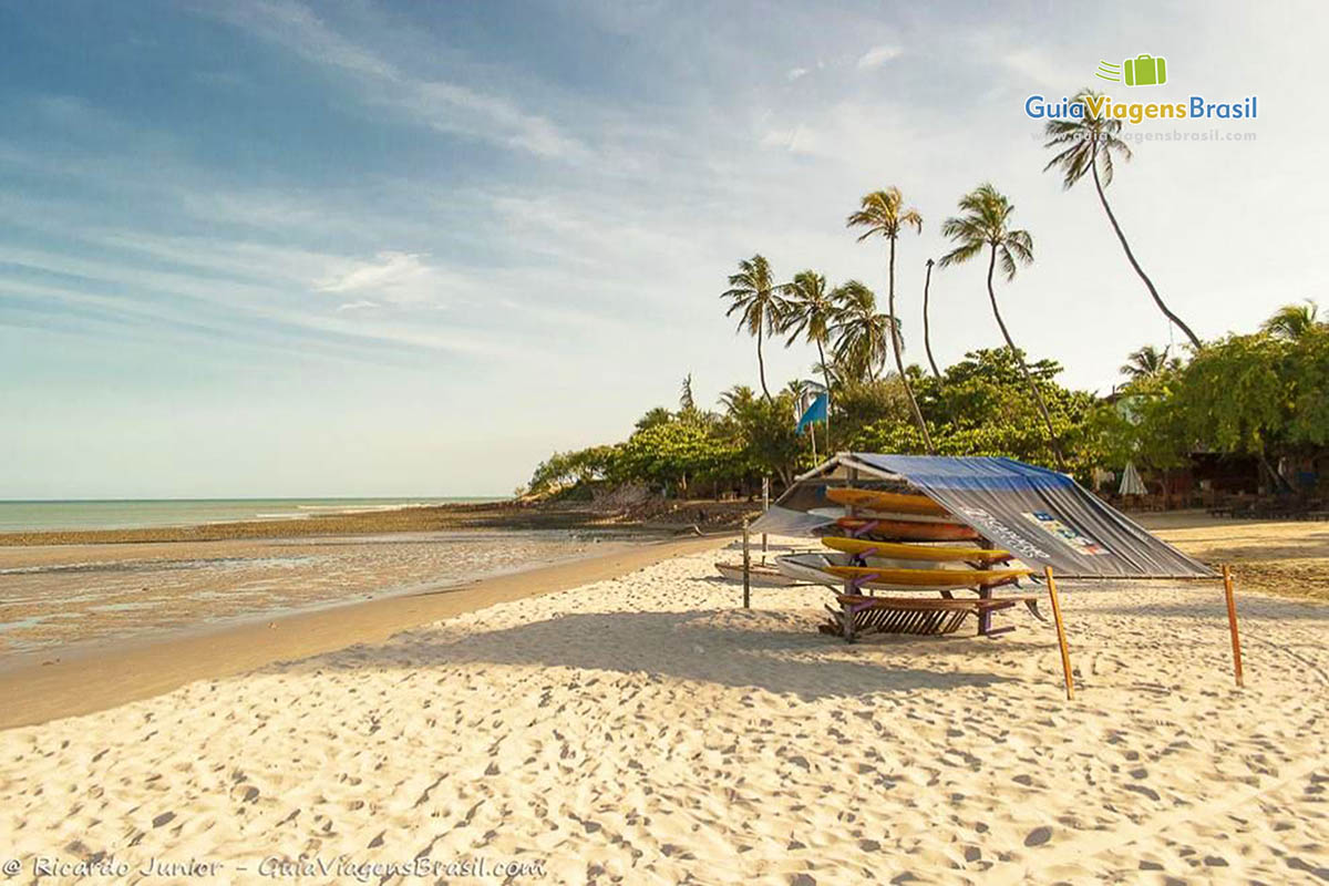 Imagem de barraca de pranchas para aluguel na Praia Jericoacoara.