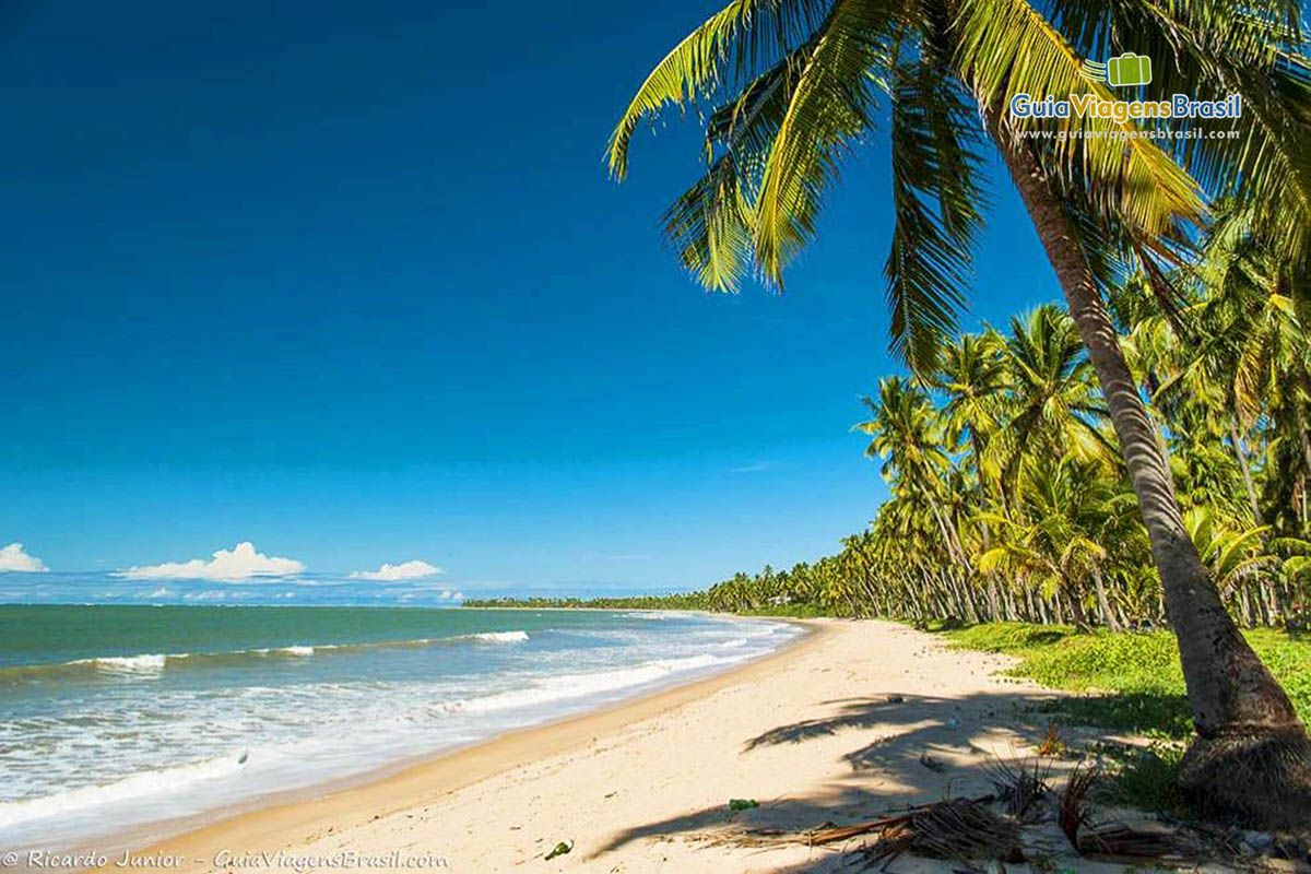 Imagem das belezas da Praia Barreiras do Boqueirão. 