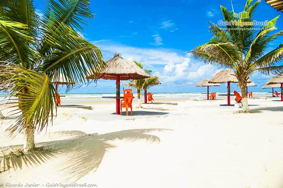 Imagem de coqueiros na Praia   de Aruana em Aracaju.