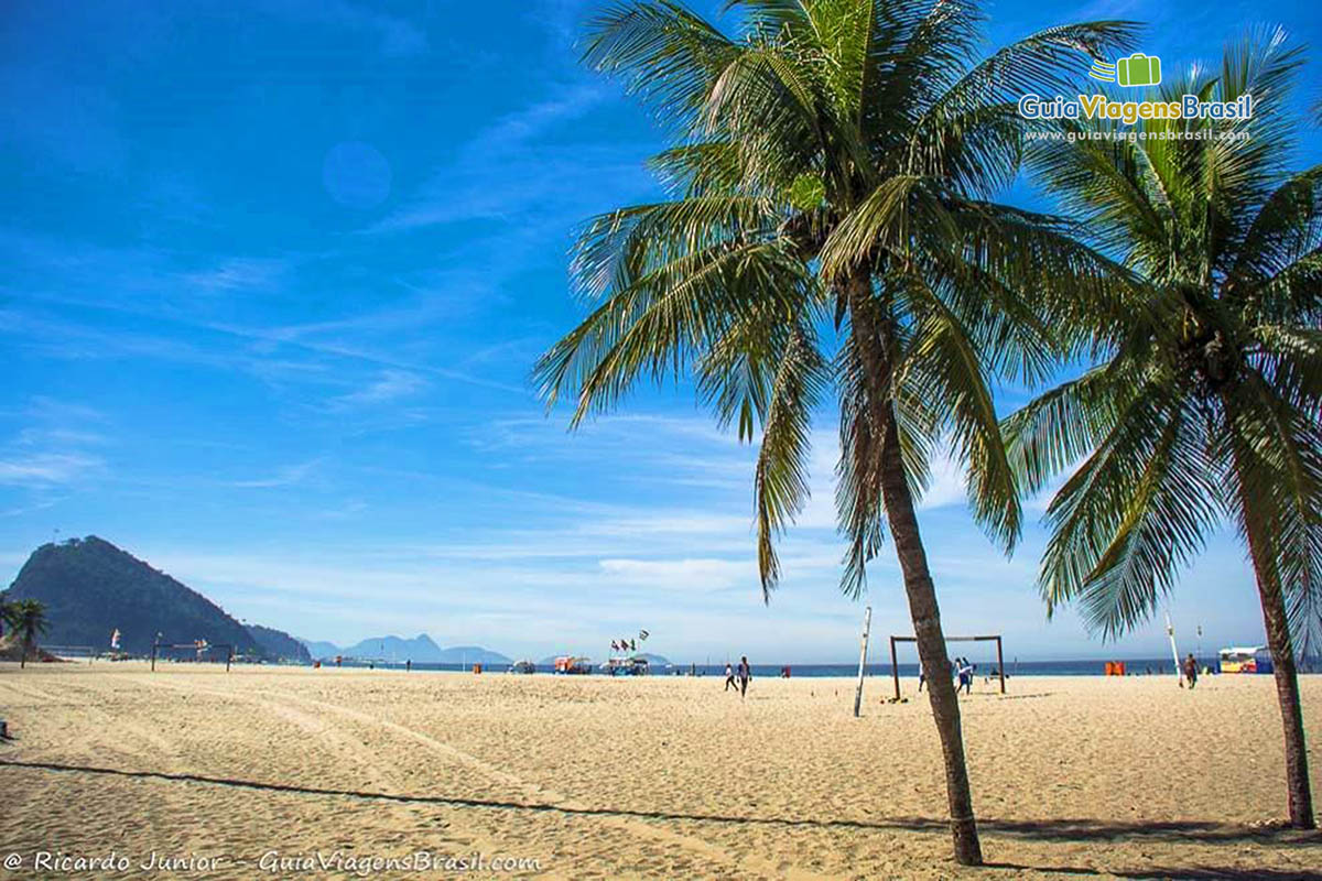 Imagem de dois coqueiros e ao fundo a bela Praia de Copacabana.