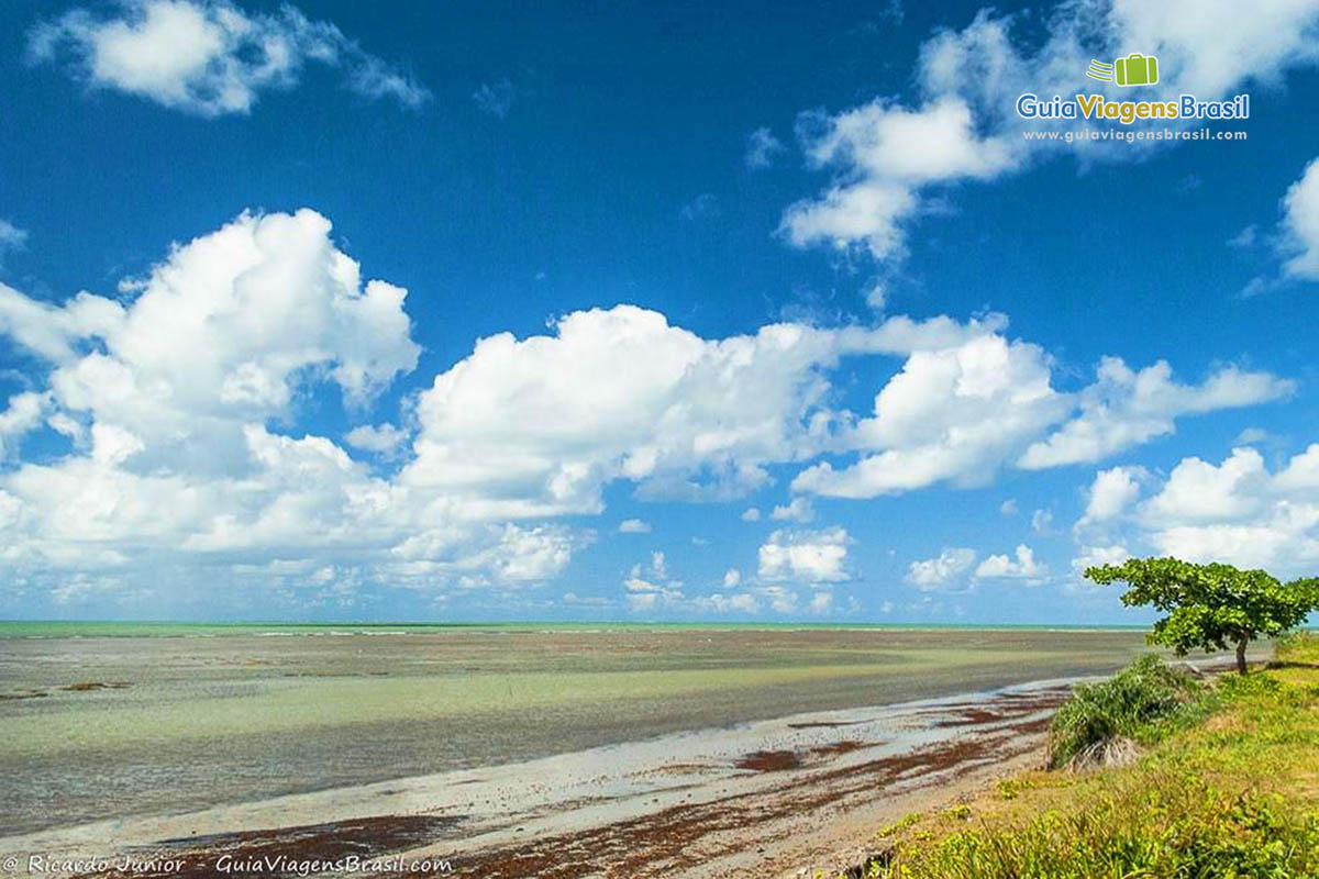 Imagem da maravilhosa Praia Coroa Vermelha.