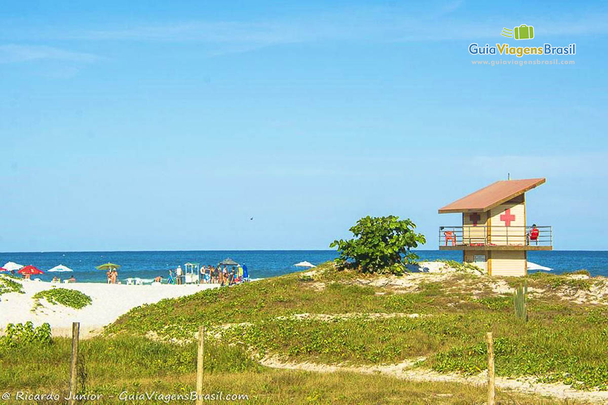 Imagem da vegetação e ao fundo a belíssima Praia das Dunas.