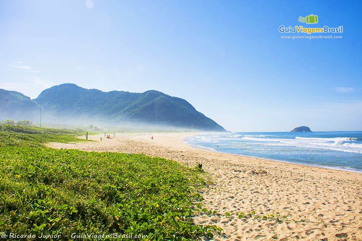 Imagem de uma vegetação nas areias da Praia Grumari e ao fundo o mar.