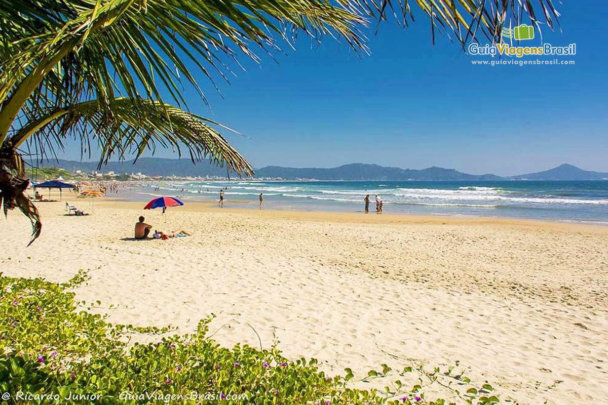 Imagem das areias brancas e finas e ao fundo o maravilhoso mar da Praia Mariscal.