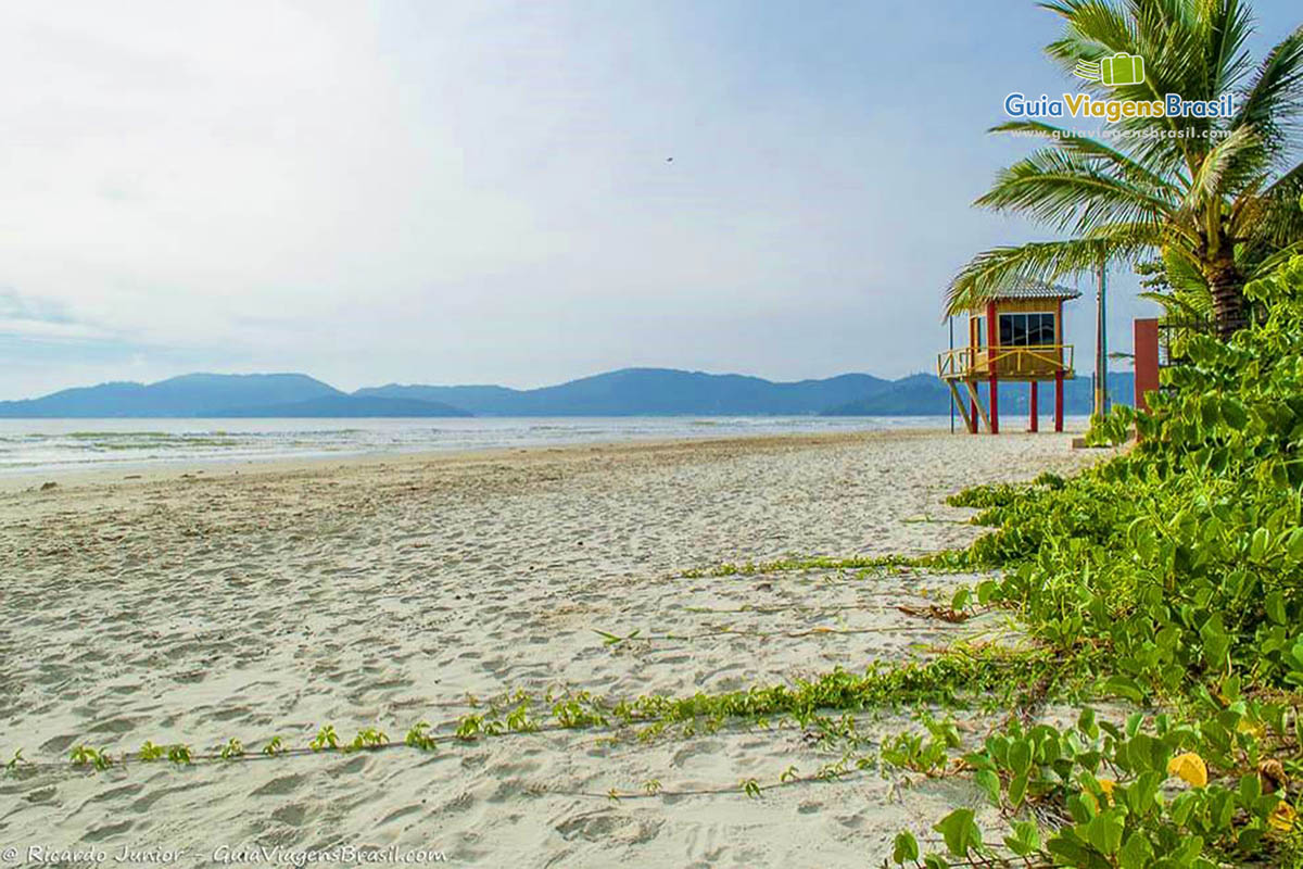 Imagem das areias brancas da Praia Perequê. 