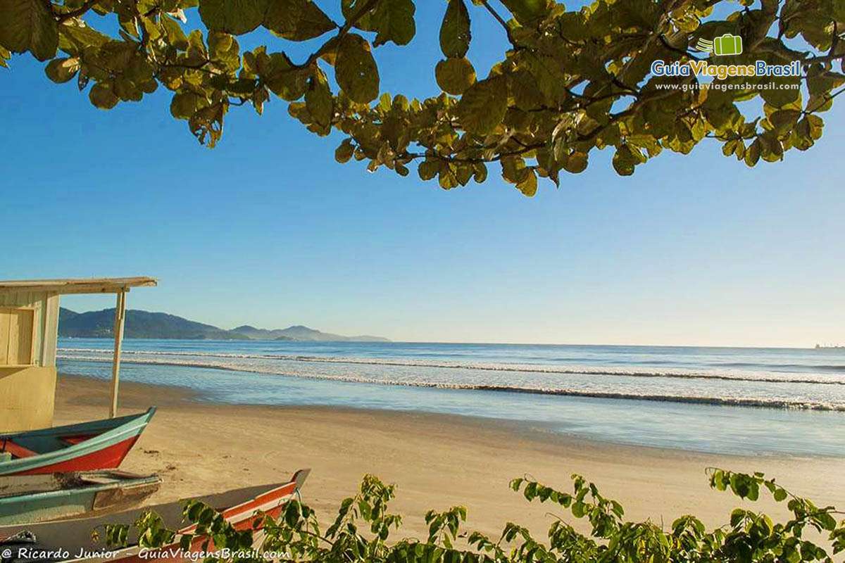 Imagem das belezas naturais de Meia Praia.