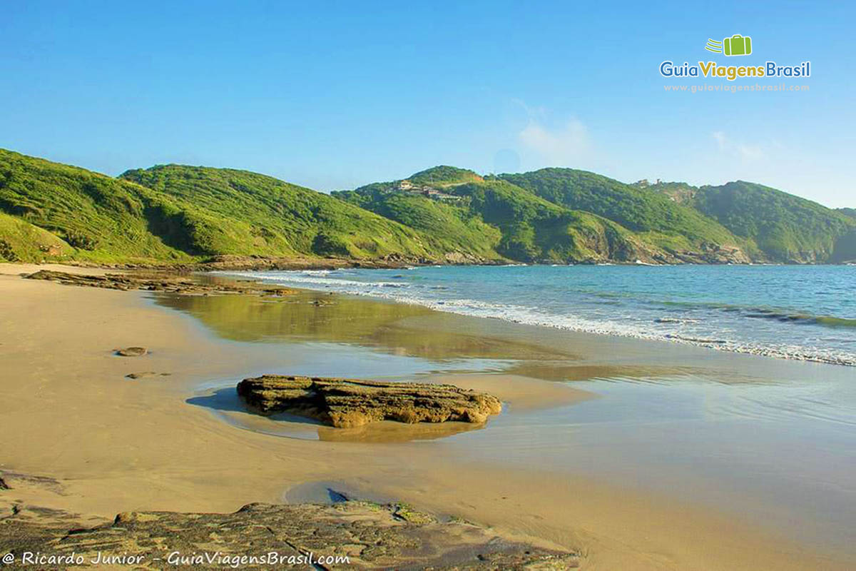 Imagem da Praia Brava e ao fundo morro com uma vegetação verde para deixar a paisagem mais deslumbrante.