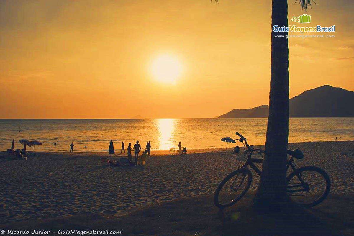 Imagem de uma bicicleta encostada em um coqueiro em um fim de tarde maravilhoso.