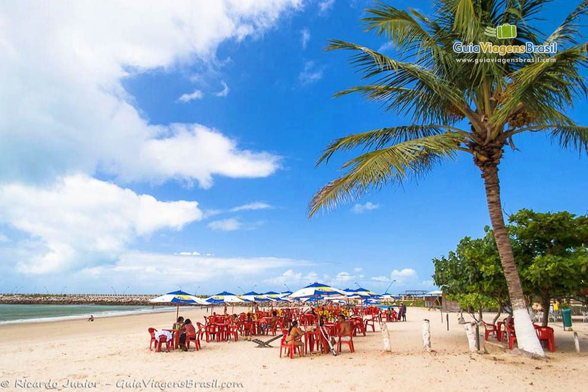 Imagem de coqueiros e cadeiras na praia para turistas.