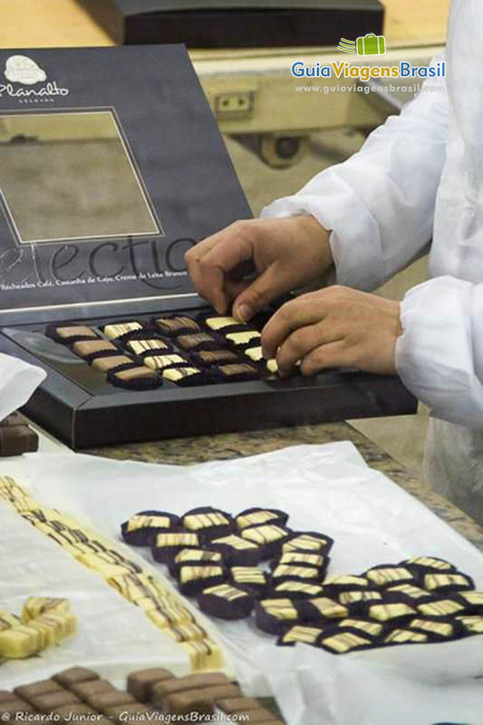 Imagem de chocolates sendo embalados.