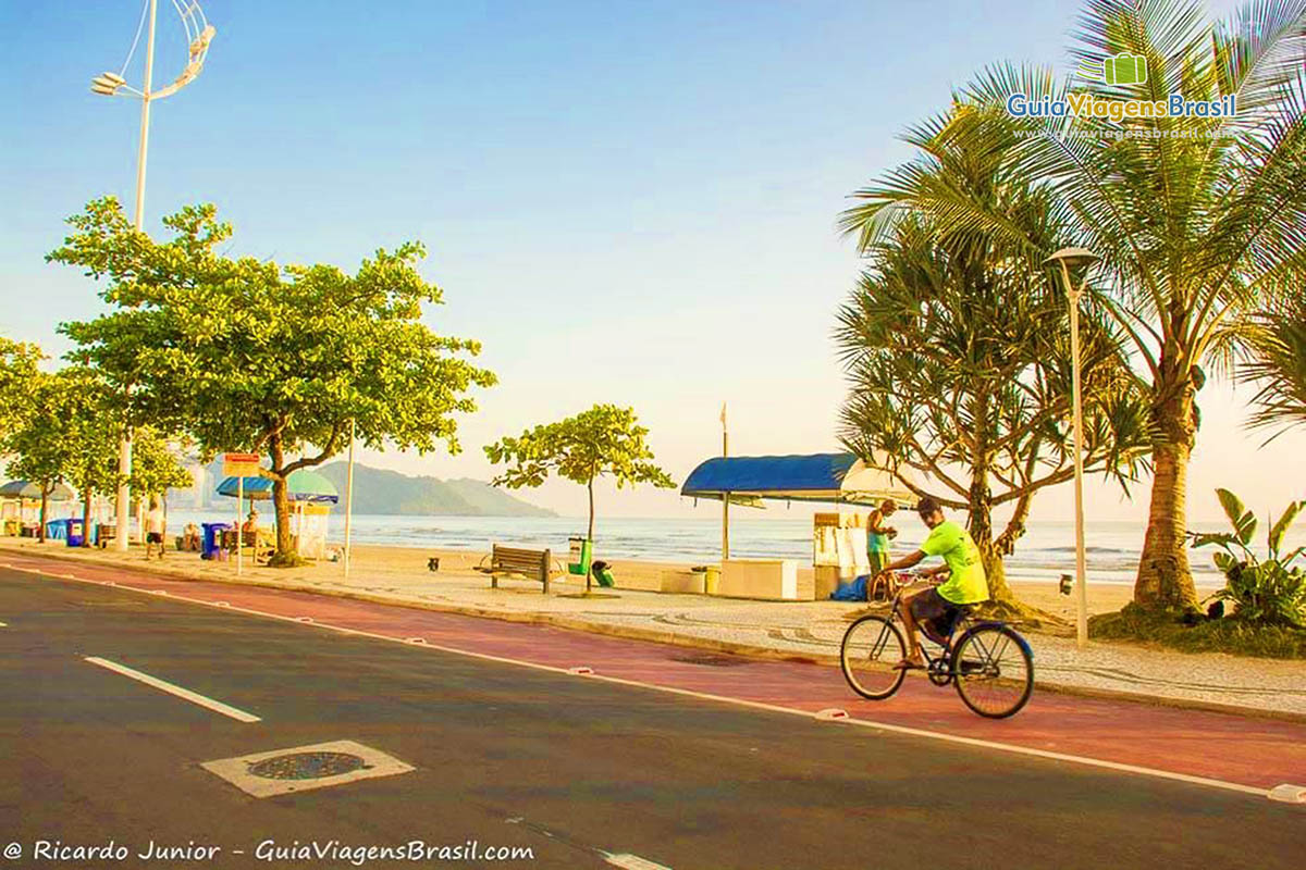 Imagem do calçadão com uma bicicleta na ciclovia e ao fundo coqueiros.