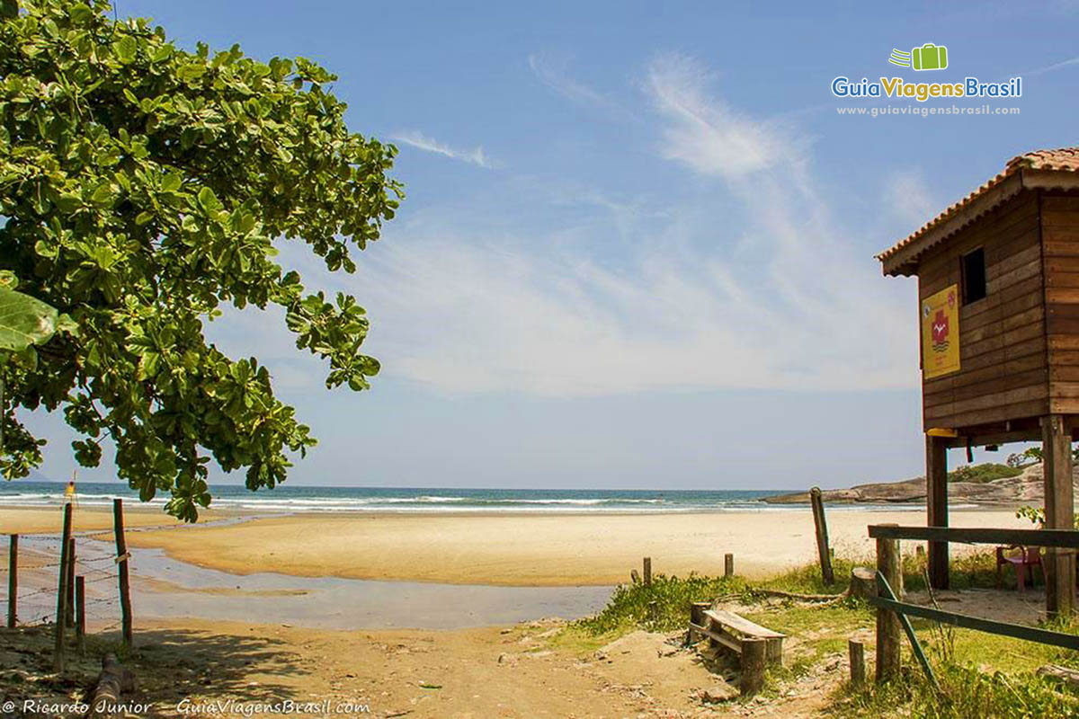 Imagem de árvore, mar e posto de salva vidas na Praia do Boracéia.