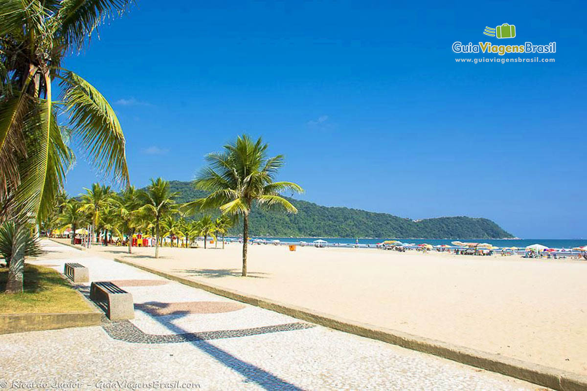 Imagem do lindo calçadão da Praia Grande.