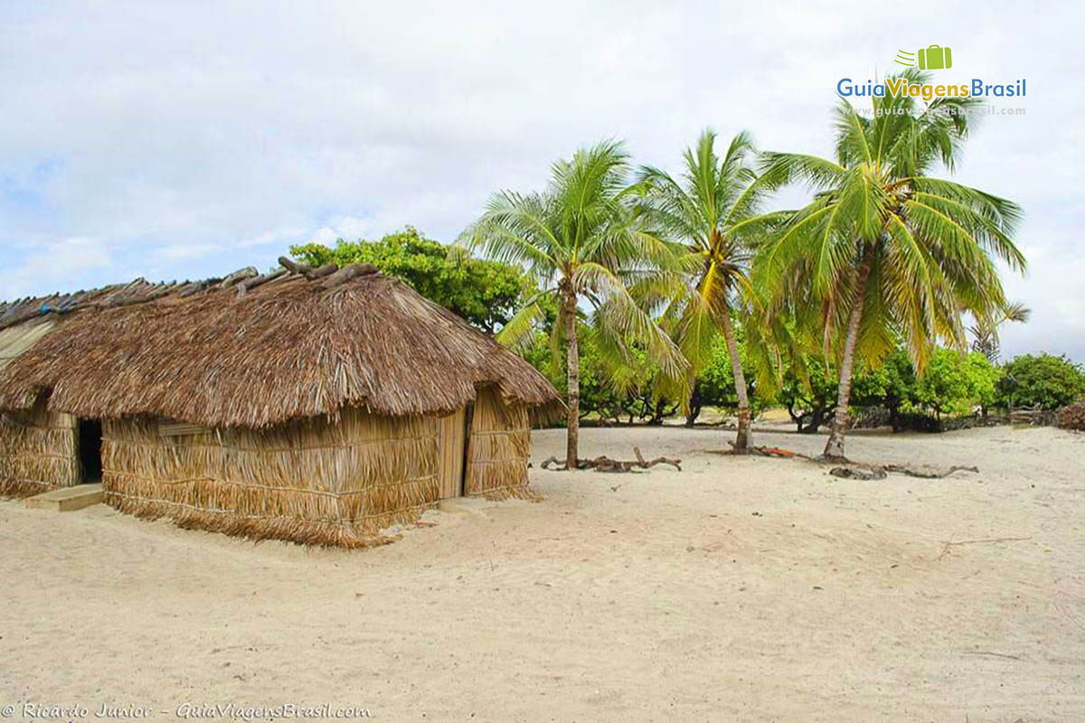 Imagem de casa simples e coqueiros ao fundo em Santo Amaro.