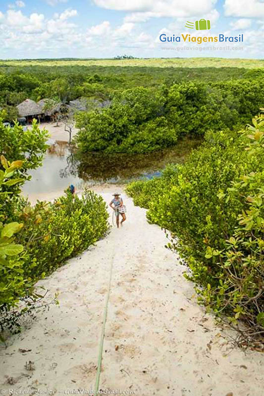 Imagem do caminho nas dunas e a vegetação aos lados. 