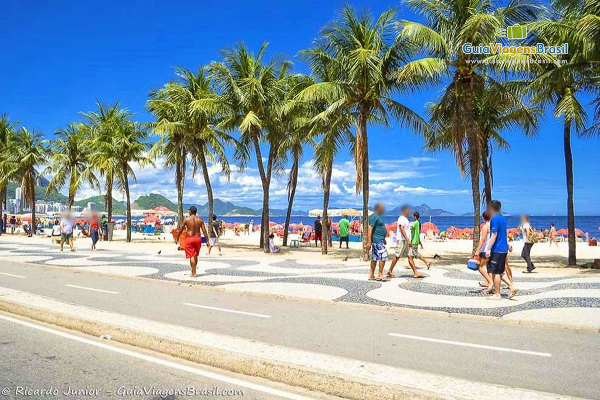 Imagens de coqueiros e pessoas andando na belíssima Praia de Copacabana.