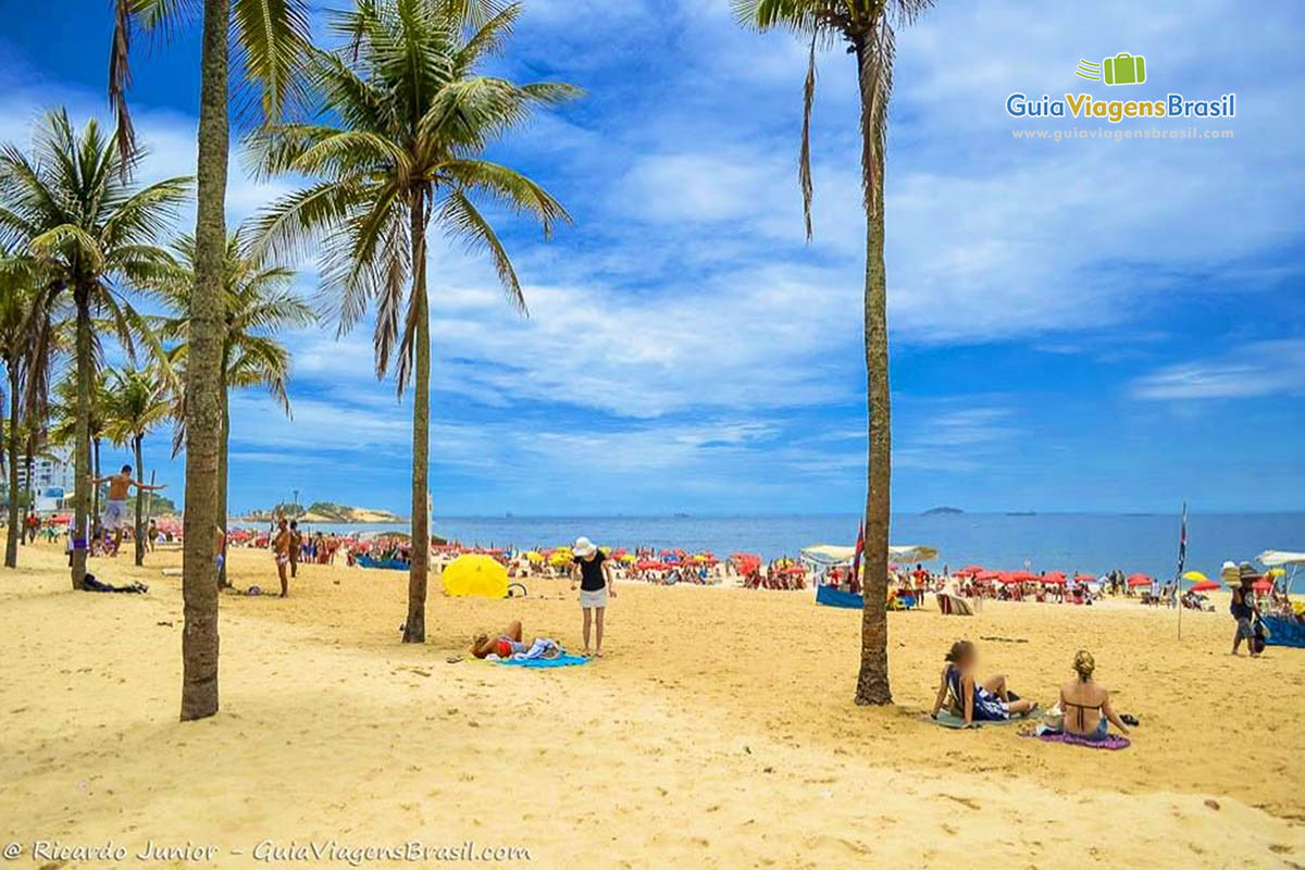 Imagem de coqueiros na linda Praia de Ipanema.