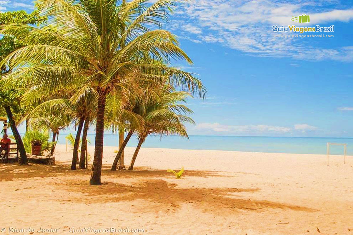 Imagem de belos coqueiros fazendo sombra na areia da praia.