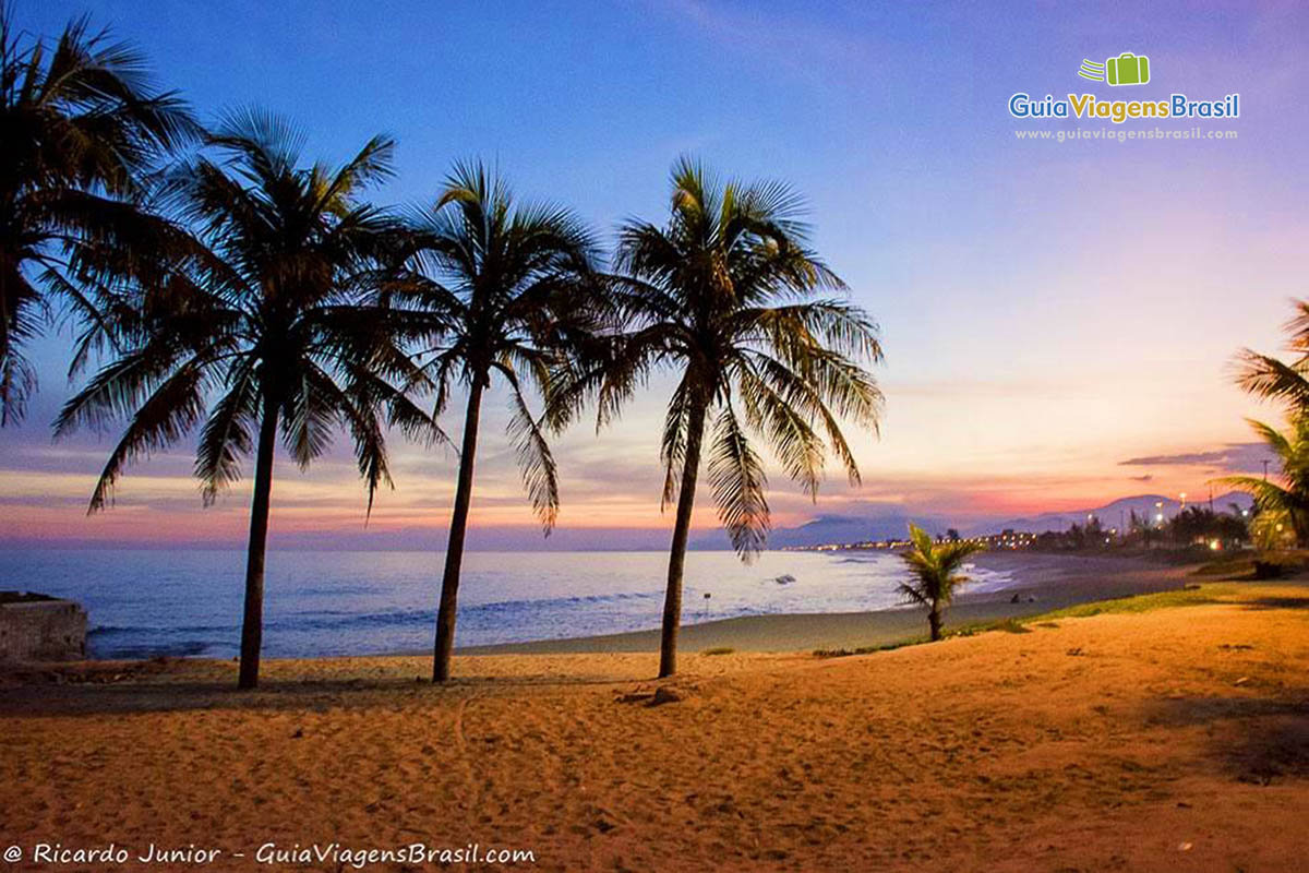 Imagem da areia e coqueiros na praia com o céu em tons de lilás e laranja. Um anoitecer especial.