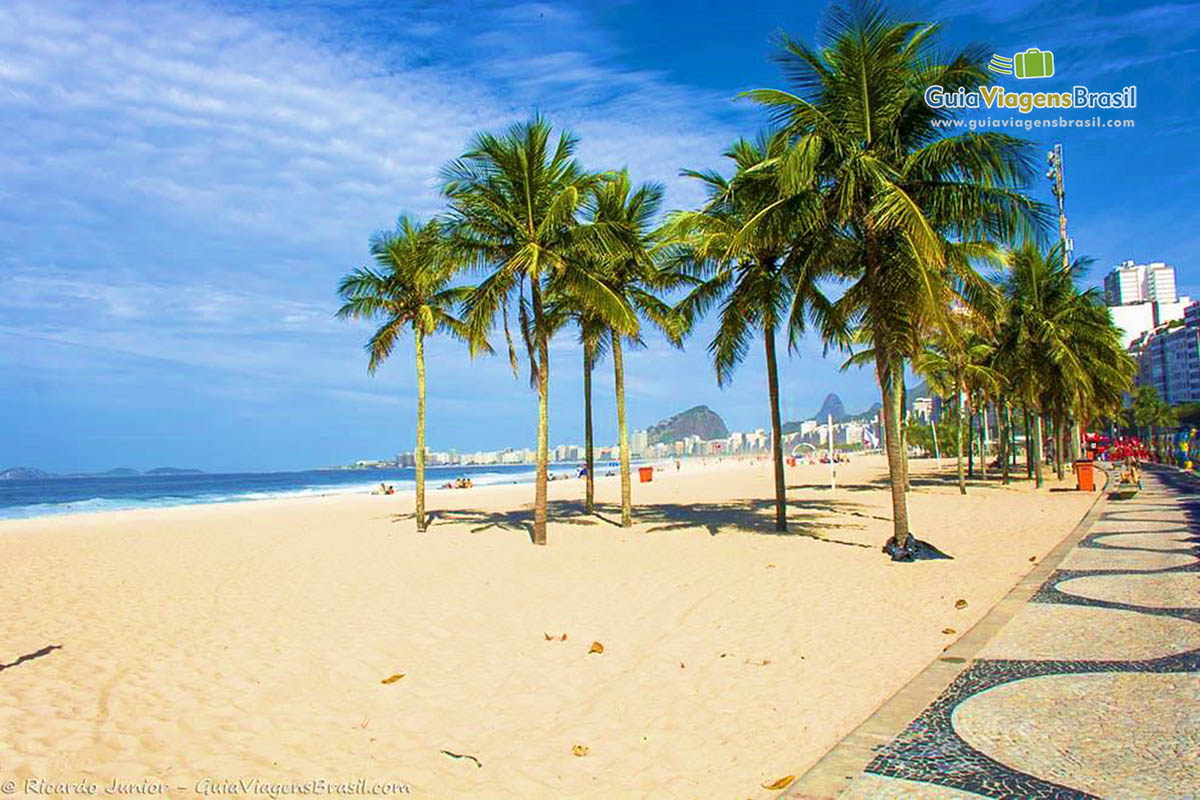 Imagem de lindos coqueiros na Praia Leme, dando charme especial.