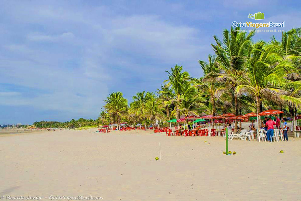 Imagem de belos coqueiros na orla da Praia São Marcos em São Luís.