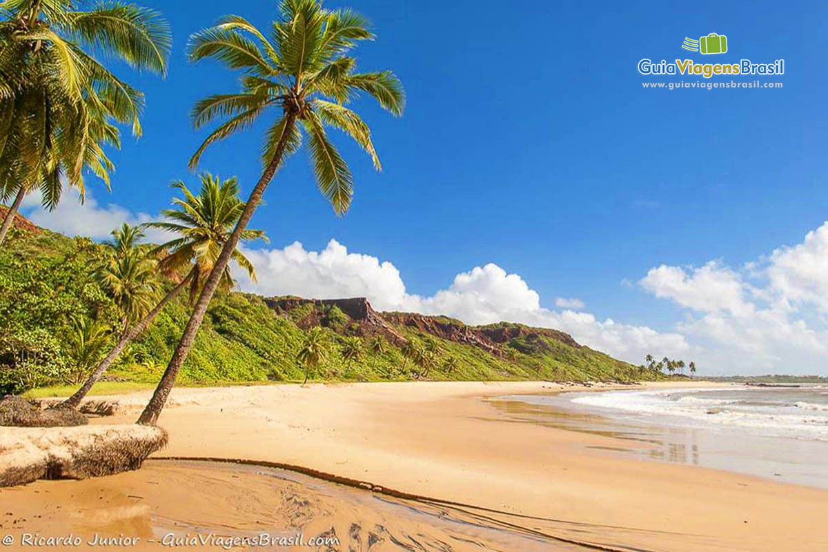 Imagem de quiosque no meio dos coqueiros na Praia Tabatinga.