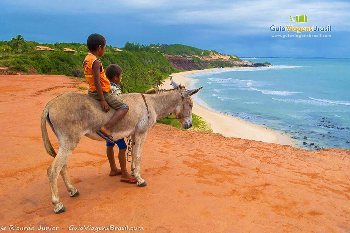 Imagem de crianças em cima do burrinho olhado a bela praia.