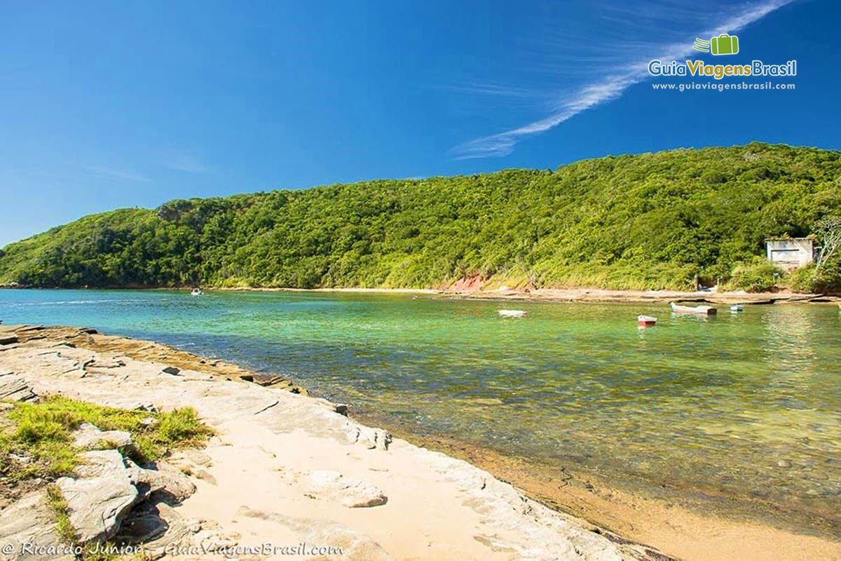 Imagem da excelente Praia Tartaruga, em Búzios.