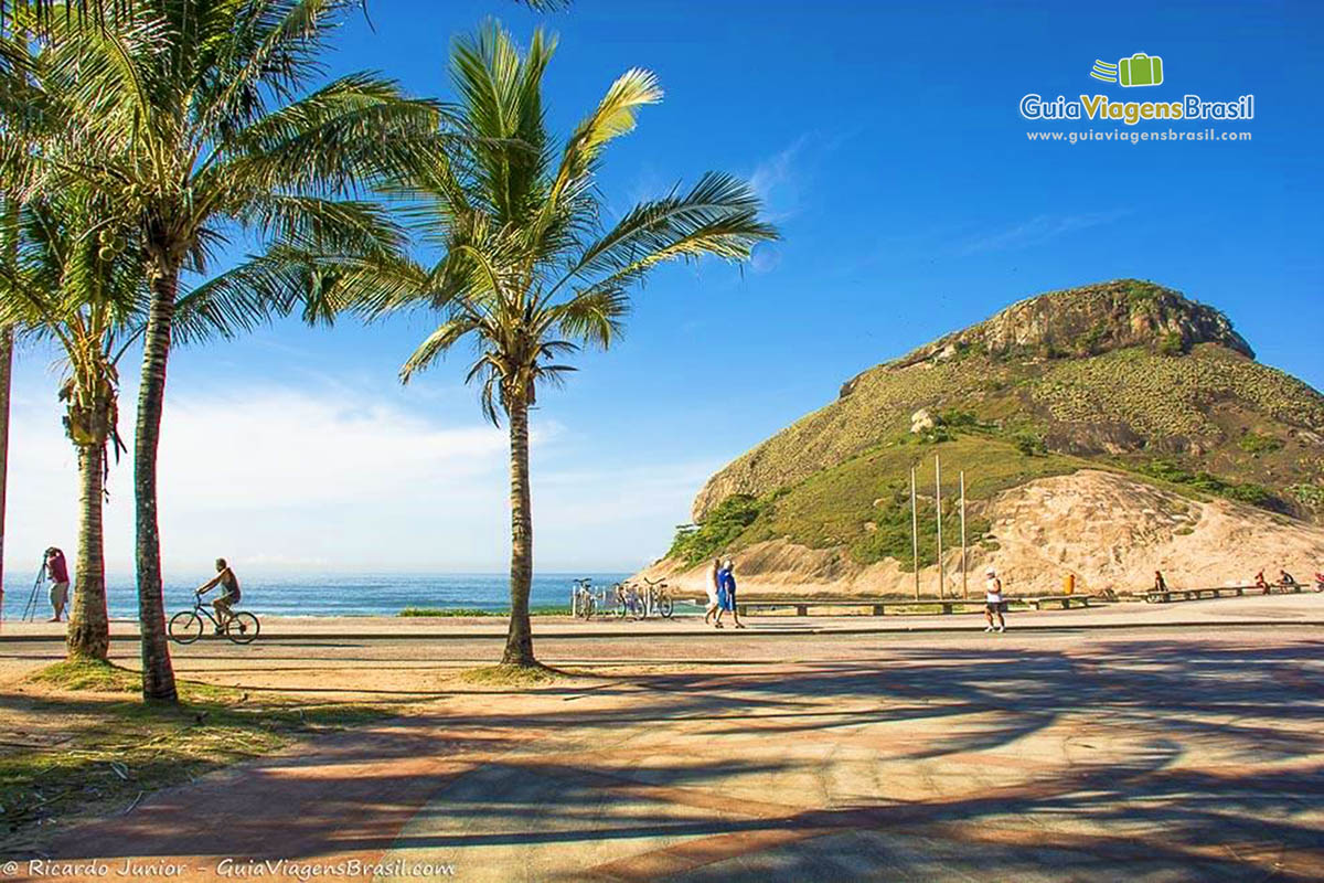 Imagem da orla com coqueiros e pessoas fazendo exercícios na praia.