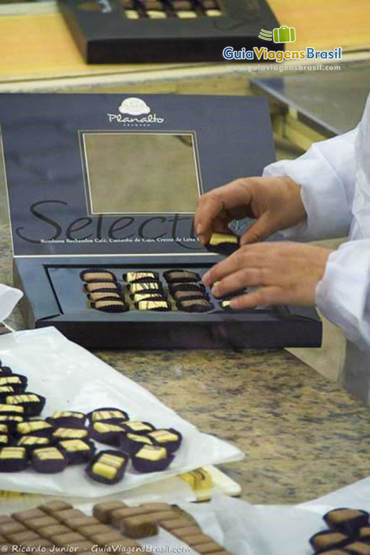 Imagem de chocolates finos sendo colocados em caixas.