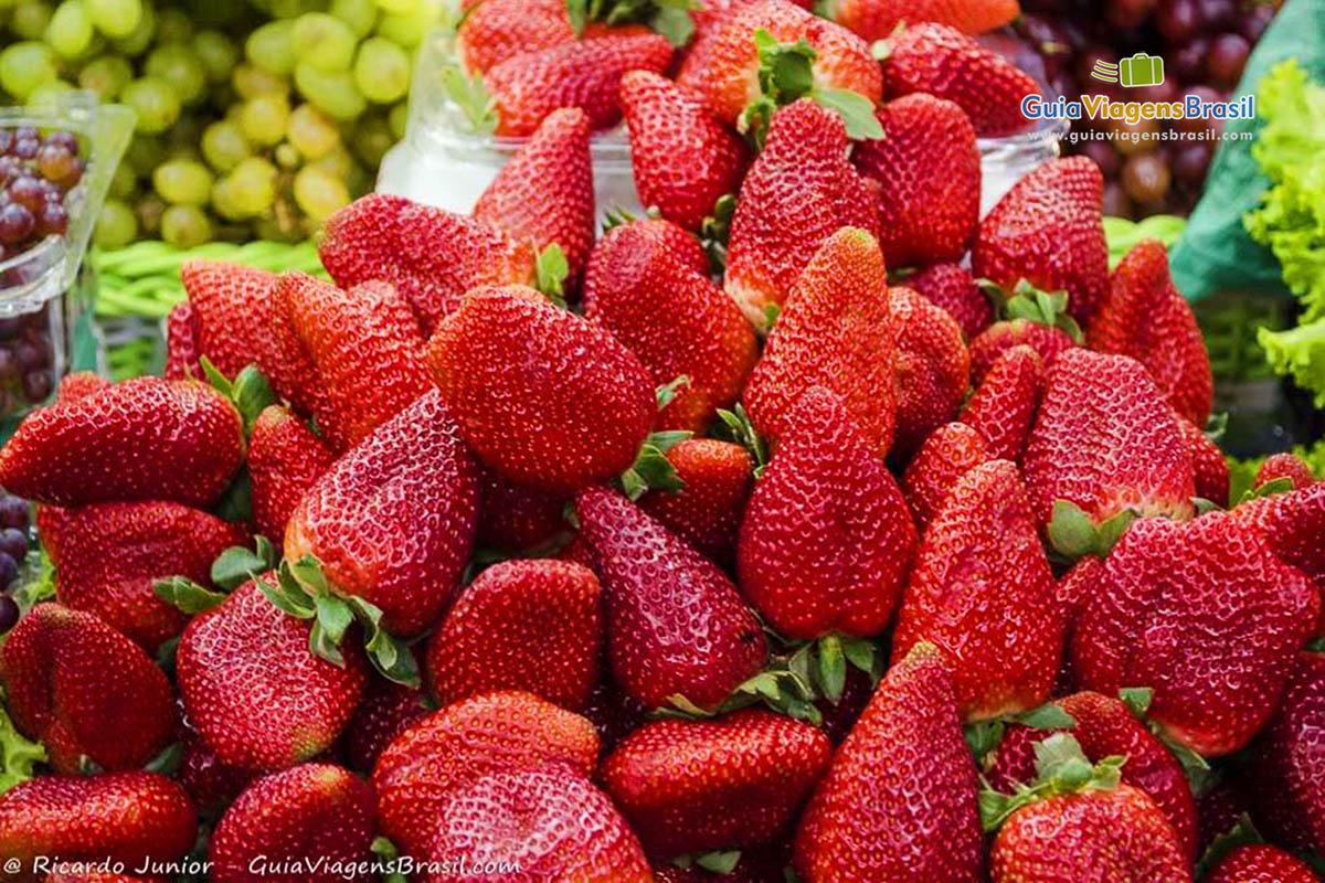 Imagem do saborosos morangos, famosa a festa de morango e flores da cidade.