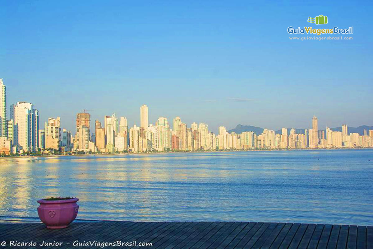 Imagem de um vaso e ao fundo mar e os prédios da orla da praia.