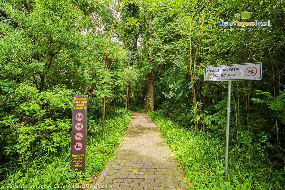 Imagem de trilhas que o Bosque oferece ao seus visitantes, em Curitiba, PR.