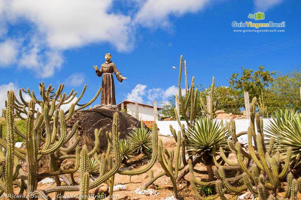 Imagem do Santo São Francisco em volta vegetação local que são cactos.