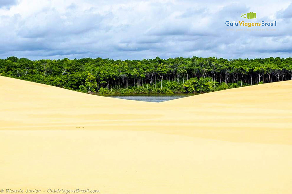 Imagem as dunas claras e ao fundo a bela mata verde.