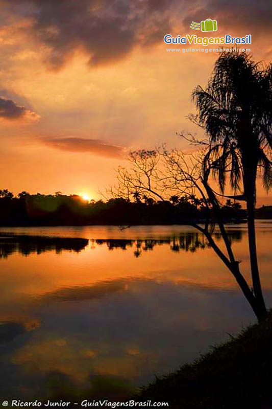 Imagem do sol indo embora em um entardecer maravilhoso.