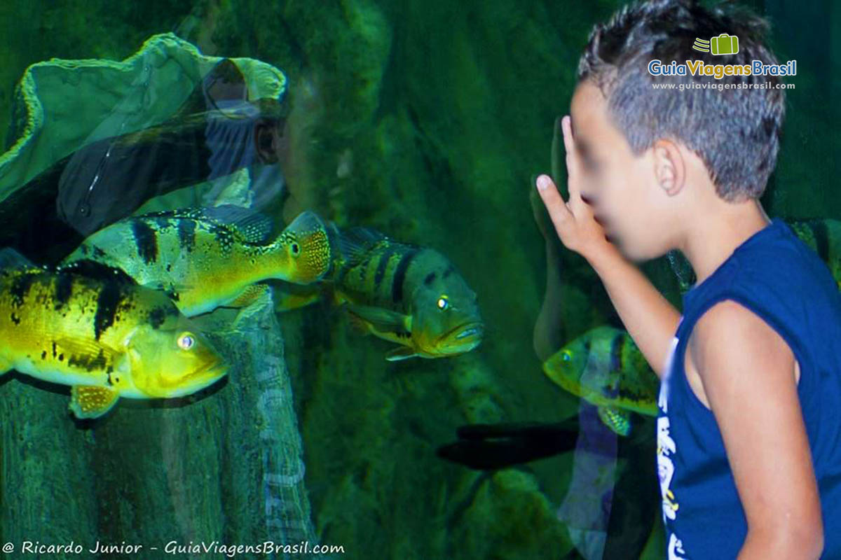 Imagem de criança admirando os peixes do aquário.