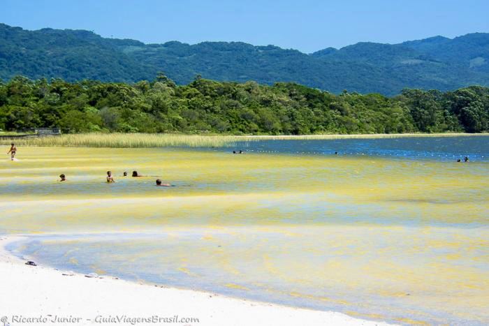 Download Moveis a beira mar sc pequeno rio Free
