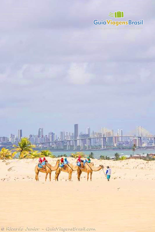 Imagem de dromedário e ao fundo a bela cidade de Natal.