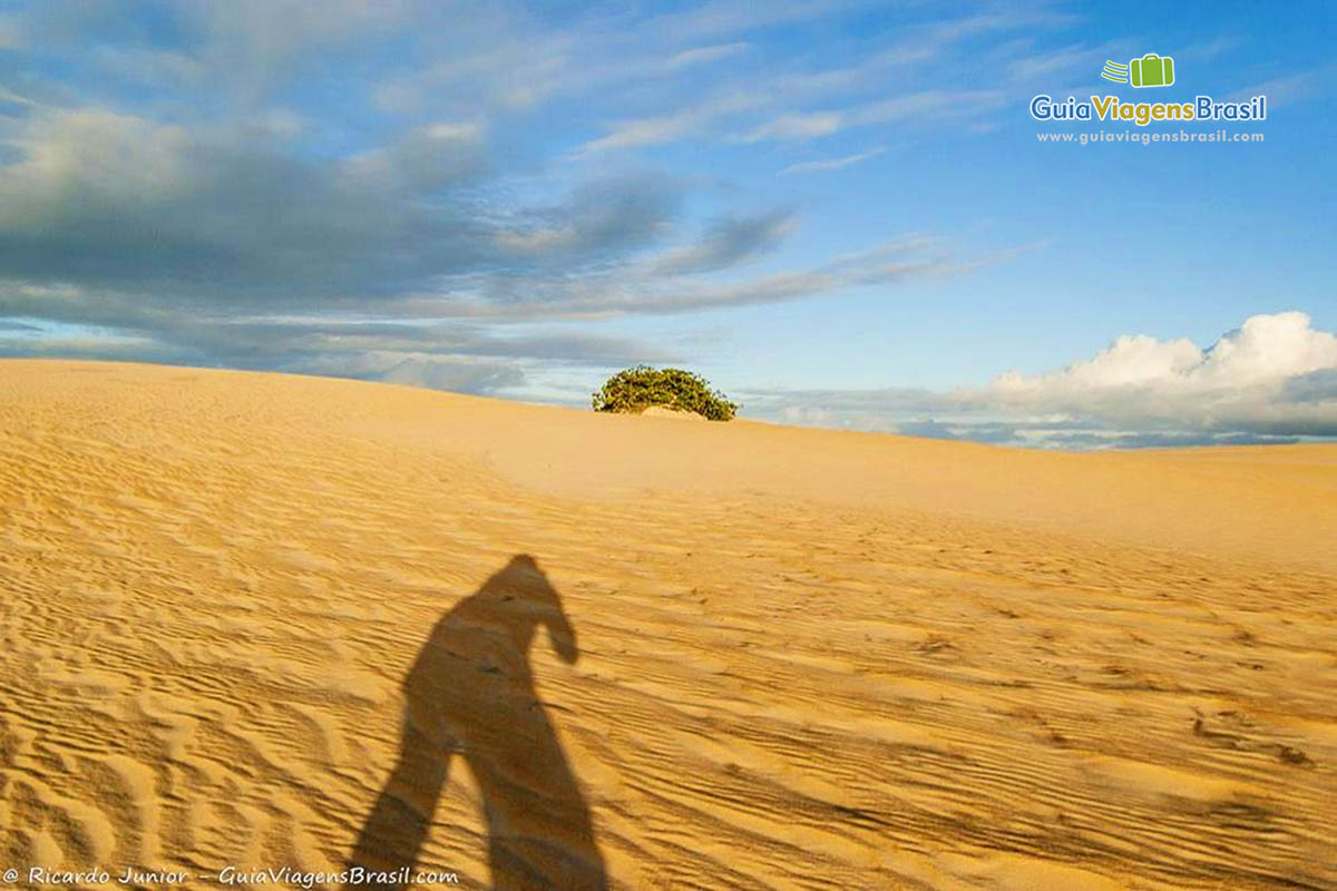 Imagem de uma sombra nas dunas douradas.