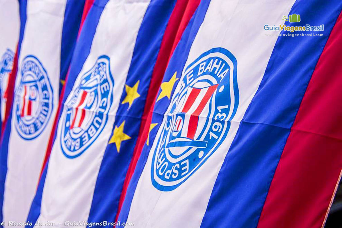 Imagem de bandeiras do time da Bahia.