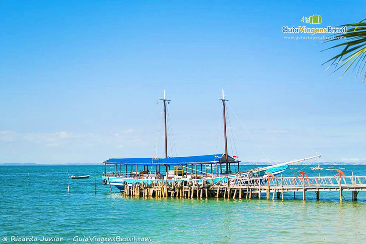 Imagem do bardo de passeio na Ilha de Itaparica, Bahia.