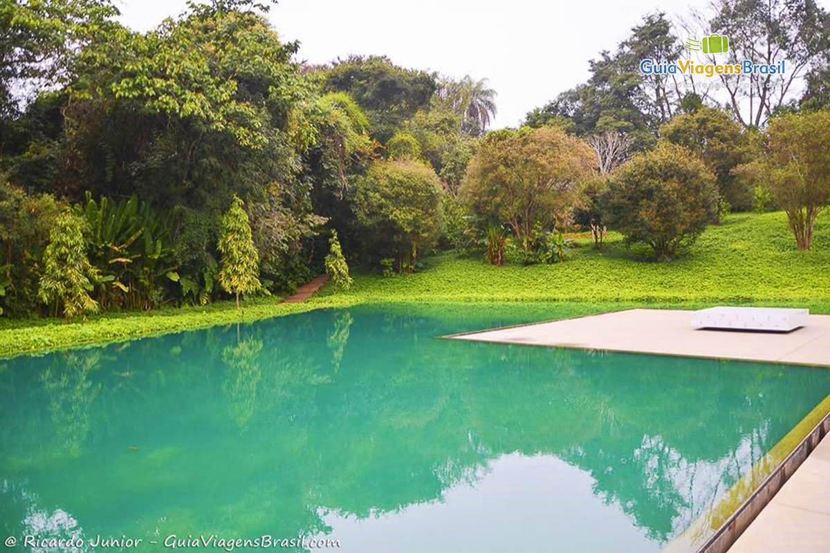 Imagem de uma piscina no Instituto Inhotim.