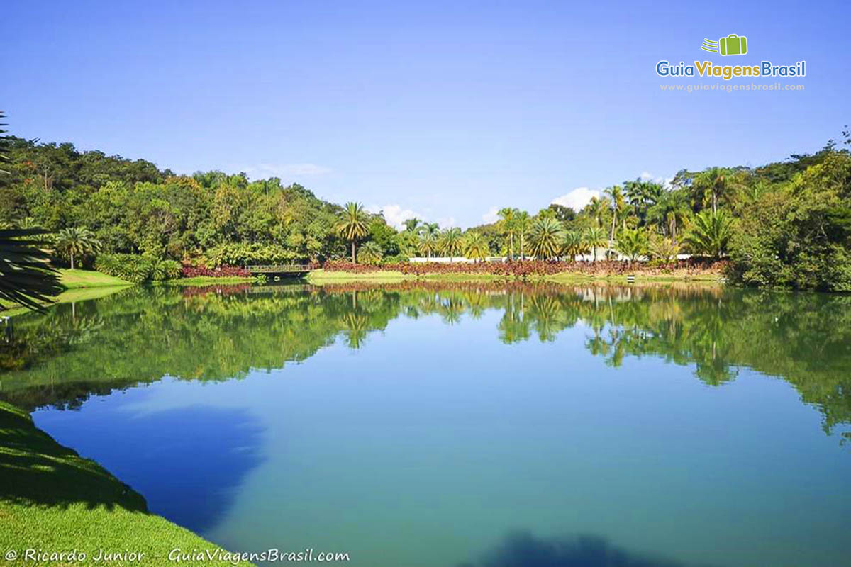 Imagem de lindo lago do Instituto Inhotim.