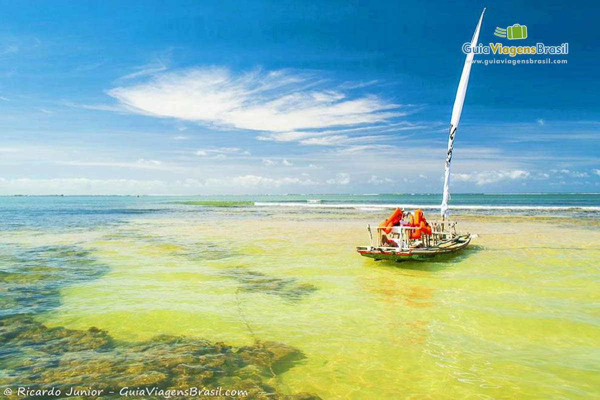 Foto de uma jangada nas Piscinas Naturais de Pajuçara, em Alagoas