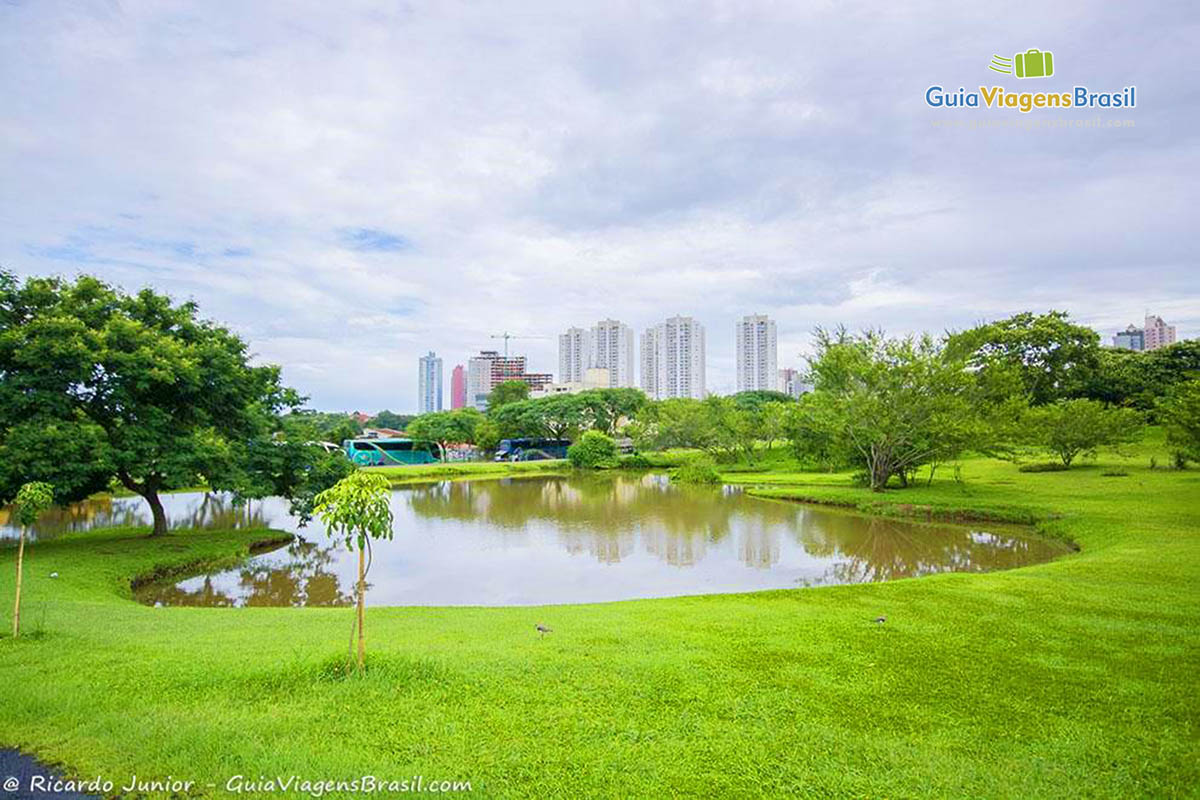 Imagem do lago no Jardim Botânico, em Curitiba.